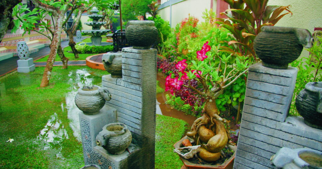 low budget terrace garden