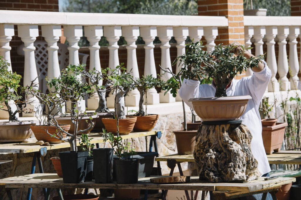 Terrace garden setup